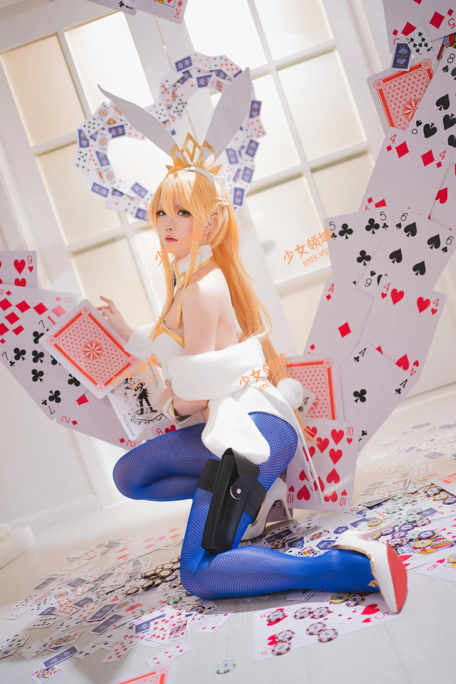 星之迟迟 – NO.117 FGO-狮子王 [23P]插图1